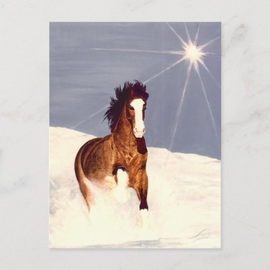 Starlight Run Briefkaart (Voorkant)