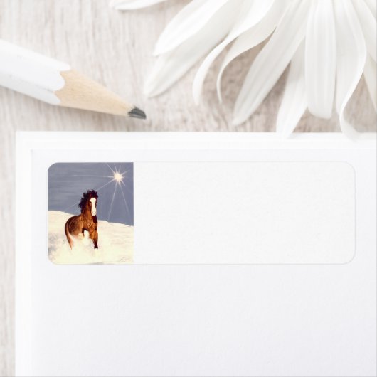 Starlight Run Etiket (Insitu)