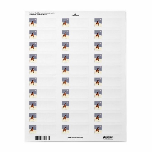 Starlight Run Etiket (Full Sheet)