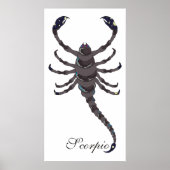 Starlight Scorpio afdrukken Poster (Voorkant)