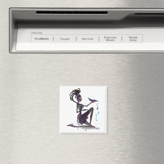 Starlight Waterman Magneten (Insitu (Vaatwasser))