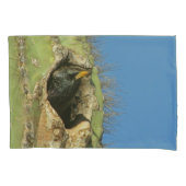 Starling in Saguaro Cactus Photo Southwest Bird Kussensloop (Voorkant)