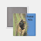 Starling in Saguaro Cactus Photo Southwest Bird Magneet (Voorkant / Achterkant)