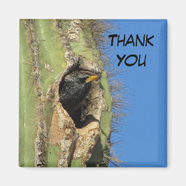 Starling in Saguaro Cactus Photo Southwest Bird Magneet