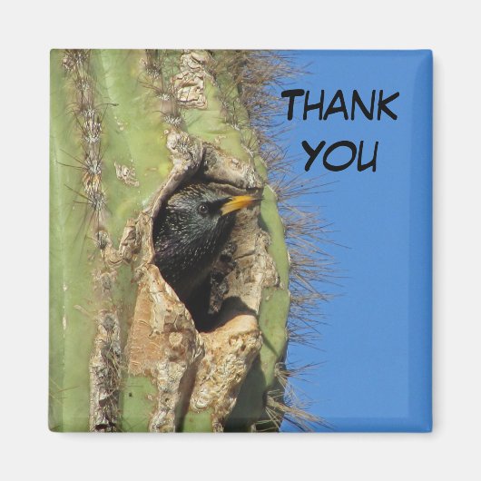 Starling in Saguaro Cactus Photo Southwest Bird Magneet (Voorkant)