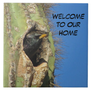 Starling in Saguaro Cactus Photo Southwest Bird Tegeltje