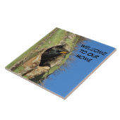 Starling in Saguaro Cactus Photo Southwest Bird Tegeltje (Zijkant)