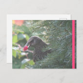 Starling in Yew Tree DIY Briefkaart (Voorkant / Achterkant)