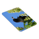 Starling op Lilacs Magnet Magneet (Rechterzijde)