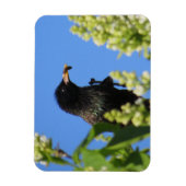 Starling op Lilacs Magnet Magneet (Verticaal)