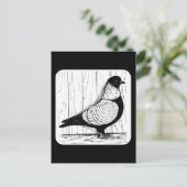 Starling Pigeon Silver-laced 1979 Briefkaart (Staand voorkant)