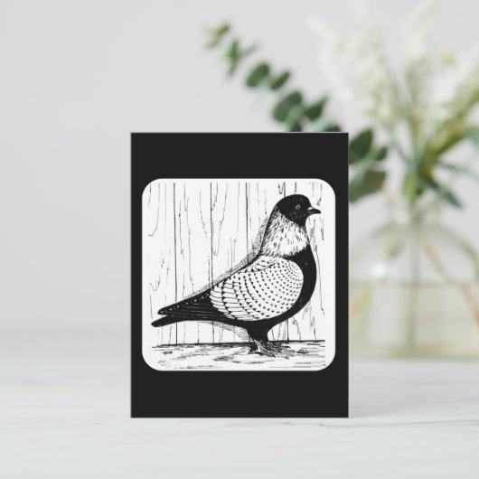Starling Pigeon Silver-laced 1979 Briefkaart (Staand voorkant)