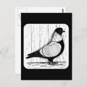Starling Pigeon Silver-laced 1979 Briefkaart (Voorkant / Achterkant)