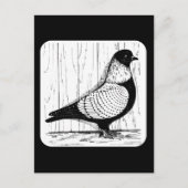 Starling Pigeon Silver-laced 1979 Briefkaart (Voorkant)