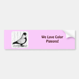 Starling Pigeon Silver-laced 1979 Bumpersticker