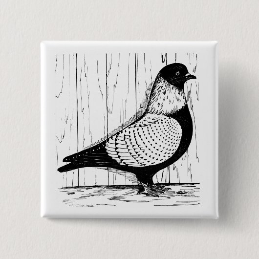 Starling Pigeon Silver-laced 1979 Vierkante Button 5,1 Cm (Voorkant)