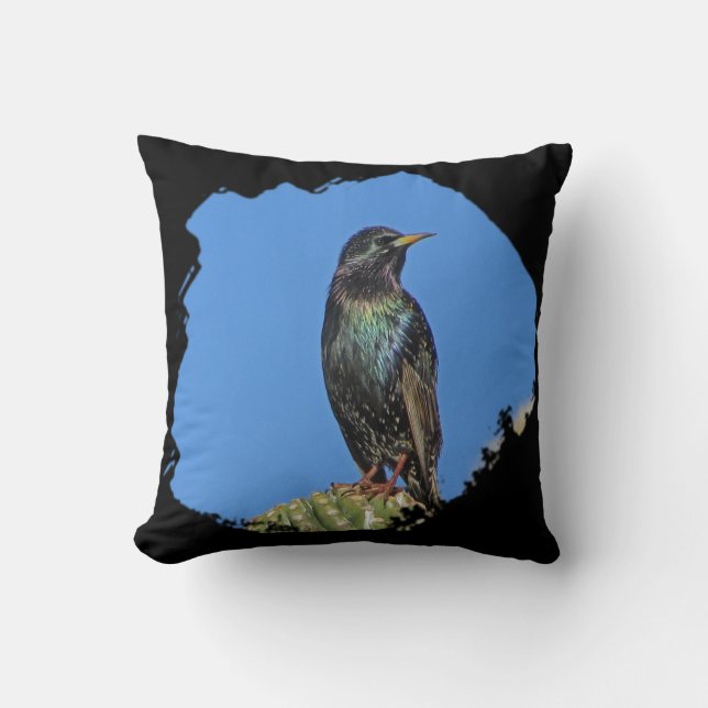 Starling Saguaro Cactus Beauful Southwest Bird Kussen (Voorkant)