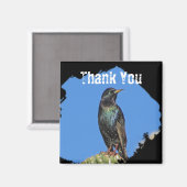 Starling Saguaro Cactus Beauful Southwest Bird Magneet (Voorkant / Achterkant)