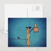 Starlings Briefkaart (Voorkant / Achterkant)