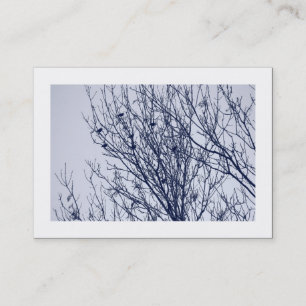 Starlings in een Boom (Borded) Visitekaartje