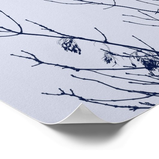 Starlings in een boom poster (Hoek)