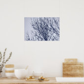 Starlings in een boom poster (Keuken)