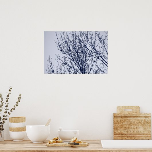 Starlings in een boom poster (Keuken)