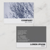 Starlings in een boom visitekaartje (Voorkant / Achterkant)