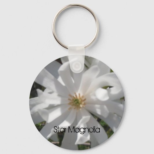 starmagbolia, Star Magnolia Sleutelhanger (Voorkant)