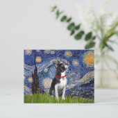 Starnacht - Boston T (2rc) Briefkaart (Staand voorkant)