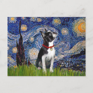 Starnacht - Boston T (2rc) Briefkaart
