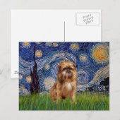 Starnacht - Bruine Brussels Griffon Briefkaart (Voorkant / Achterkant)