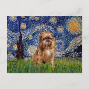 Starnacht - Bruine Brussels Griffon Briefkaart