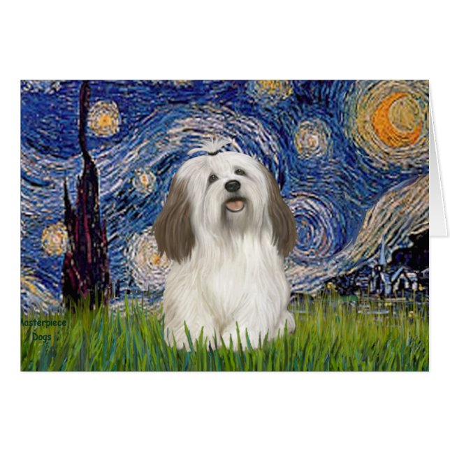 Starnacht - Havanese (#1) (Voorkant Horizontaal)