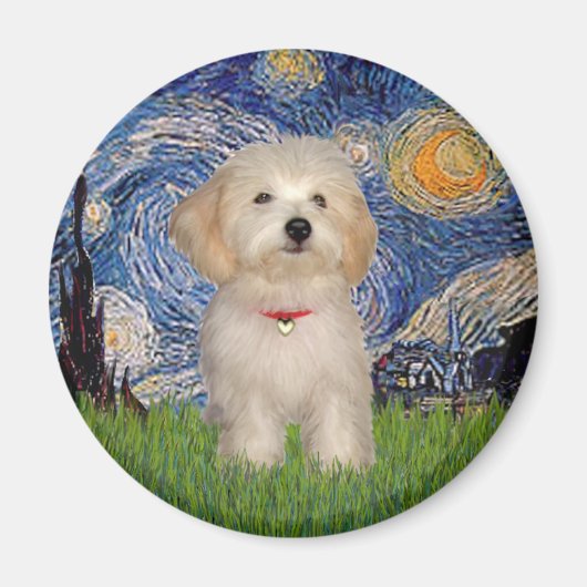 Starnacht - Havanese Puppy Magneet (Voorkant)