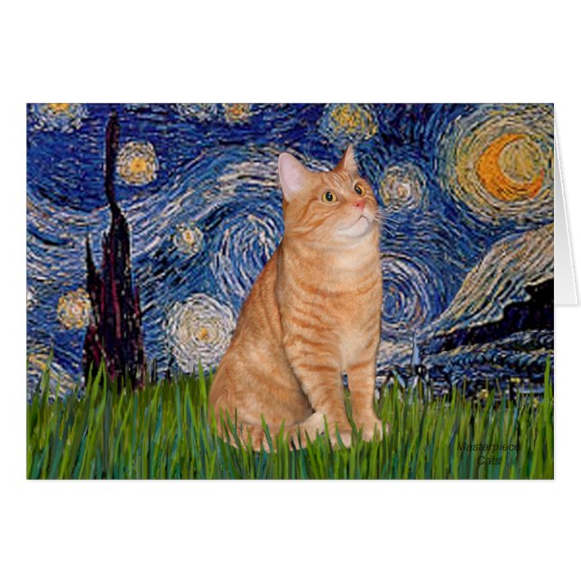 Starnacht - Oranje Tabby 46 (Voorkant Horizontaal)