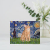 Starnacht - Oranje Tabby 46 Briefkaart (Staand voorkant)