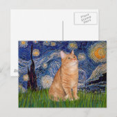 Starnacht - Oranje Tabby 46 Briefkaart (Voorkant / Achterkant)