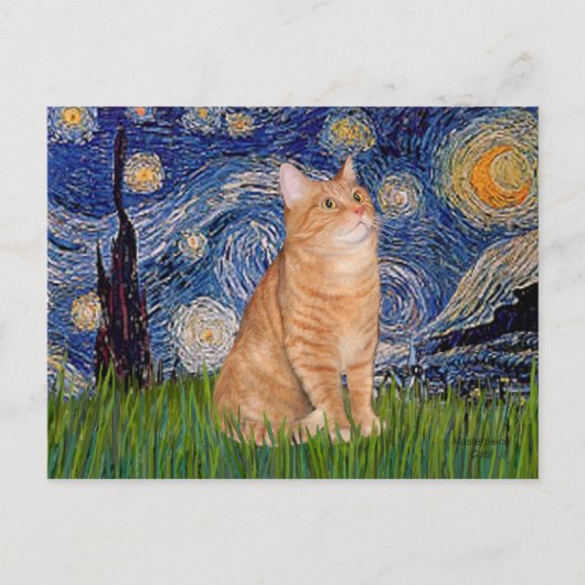 Starnacht - Oranje Tabby 46 Briefkaart (Voorkant)