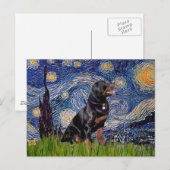 Starnacht - Rottweiler (#6) Briefkaart (Voorkant / Achterkant)