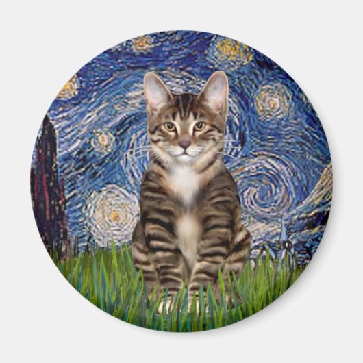 Starnacht - Tabby tijgerkat 30 Magneet (Voorkant)