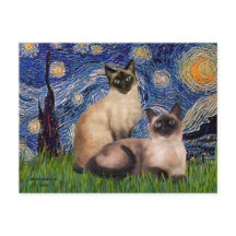 Starnacht - Twee Siamese katten (Choc Pt)