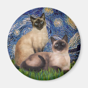 Starnacht - Twee Siamese katten (Choc Pt) Magneet