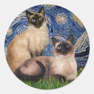 Starnacht - Twee Siamese katten (Choc Pt) Ronde Sticker