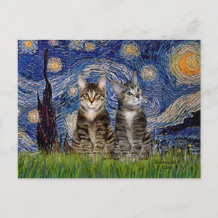 Starnacht - Twee Tijgerkatten Briefkaart