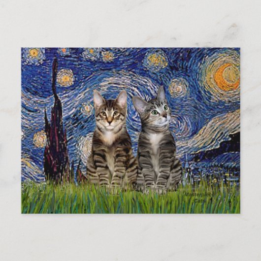 Starnacht - Twee Tijgerkatten Briefkaart (Voorkant)