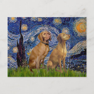 Starnacht - Twee Vizsla's Briefkaart
