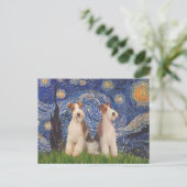 Starnacht - Twee Wire Fox Terriërs Briefkaart (Staand voorkant)