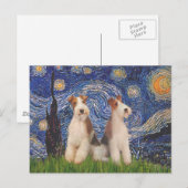 Starnacht - Twee Wire Fox Terriërs Briefkaart (Voorkant / Achterkant)