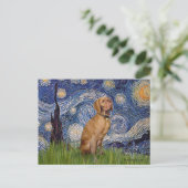 Starnacht - -Vizsla 2 Briefkaart (Staand voorkant)